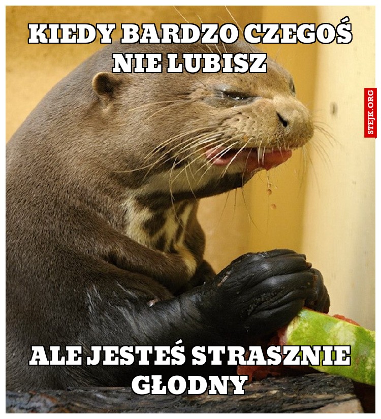 Kiedy bardzo czegoś nie lubisz