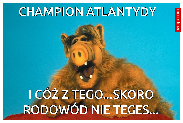 CHAMPION ATLANTYDY