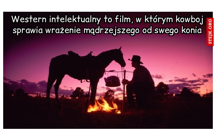 Western intelektualny to film, w którym kowboj sprawia wrażenie mądrzejszego od swego konia