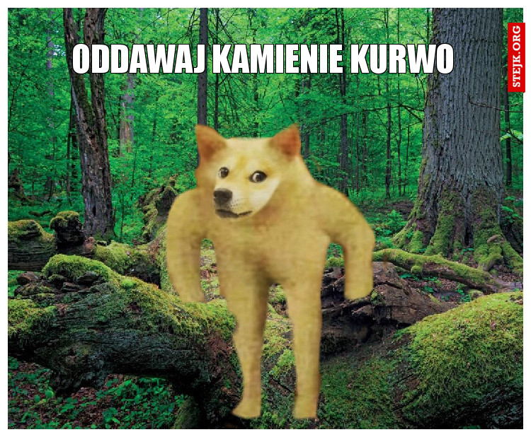 oto moje kamienie