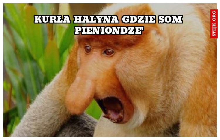 kurła halyna gdzie som pieniondze'
