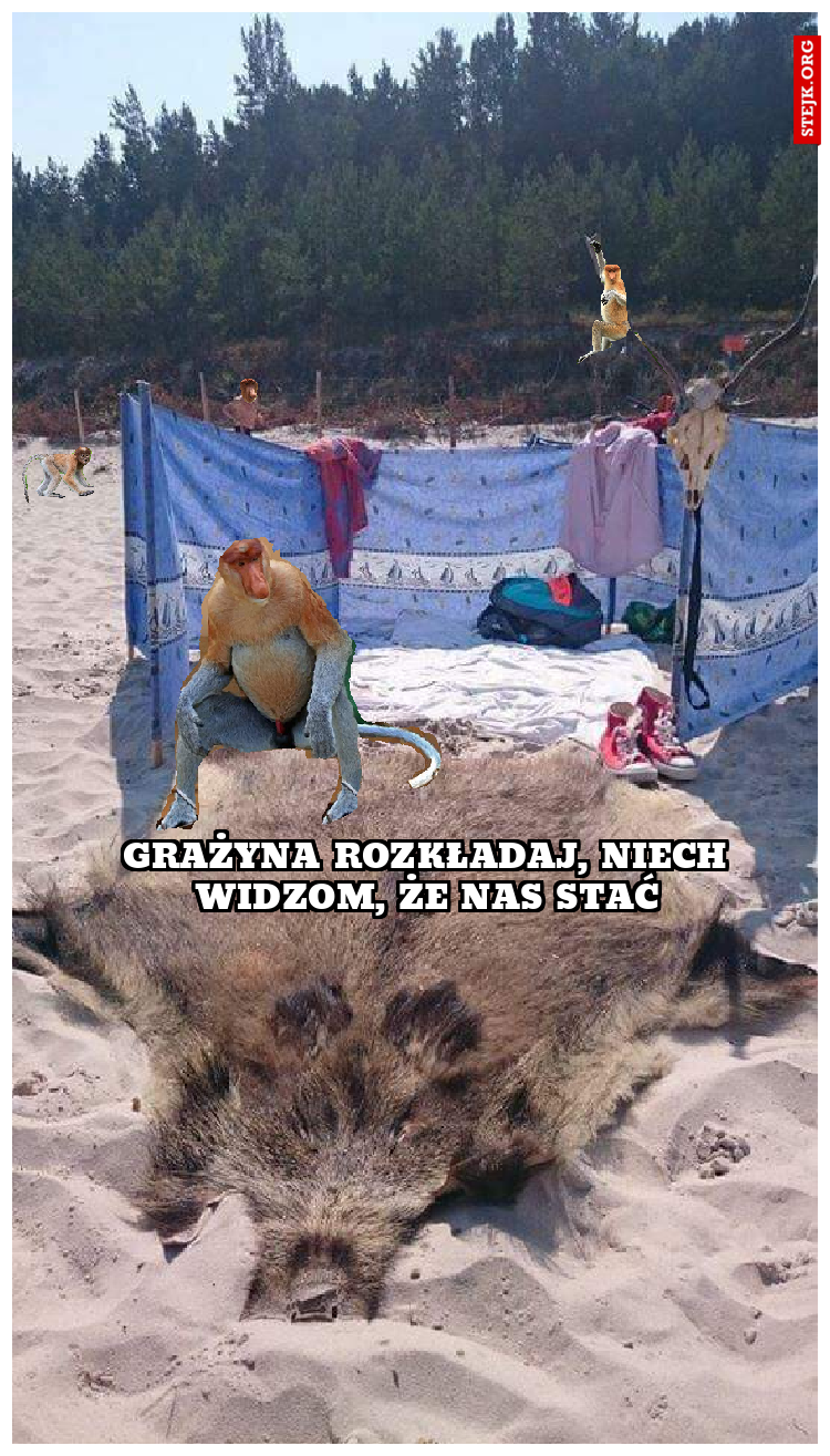 Grażyna rozkładają, niech widzom, że nos stać