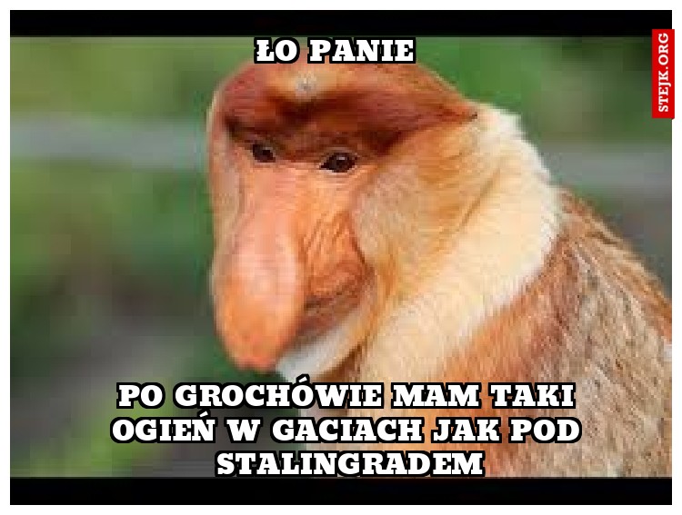Ło panie