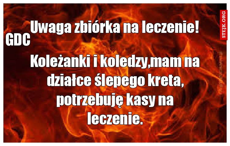 Koleżanki i koledzy,mam na działce ślepego kreta, potrzebuję kasy na leczenie.