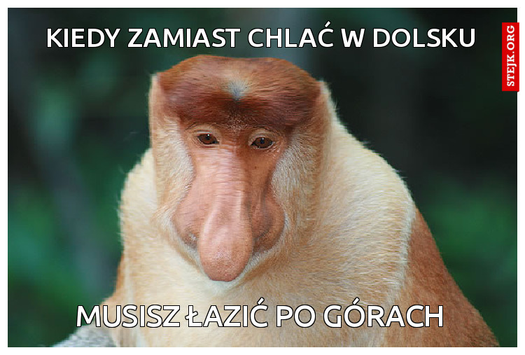 kiedy zamiast chlać w dolsku