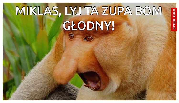 Miklas, lyj ta zupa bom głodny!
