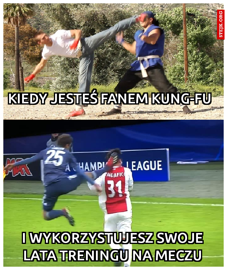 Kiedy jesteś fanem Kung-Fu