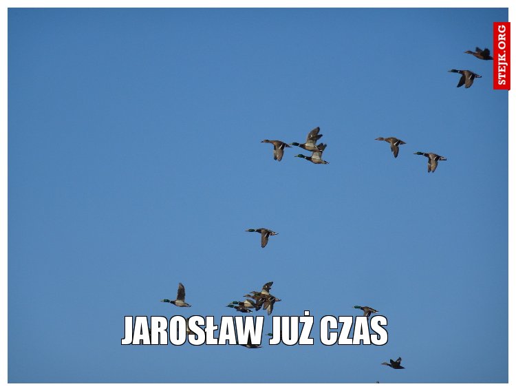 Jarosław już czas