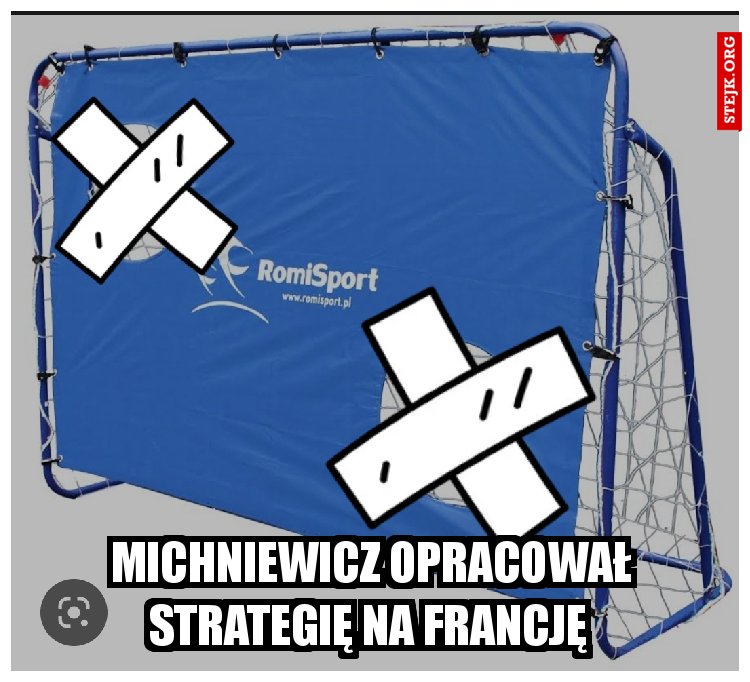 Michniewicz opracował strategię na Francję 