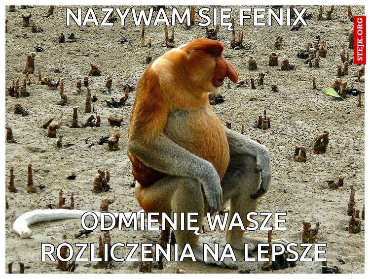 Nazywam się fenix
