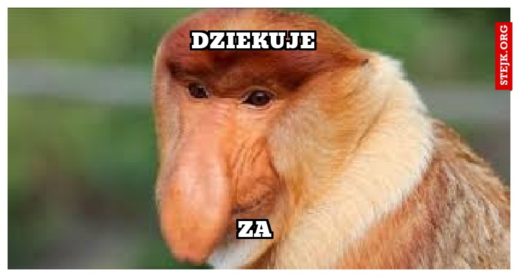 dziekuje 