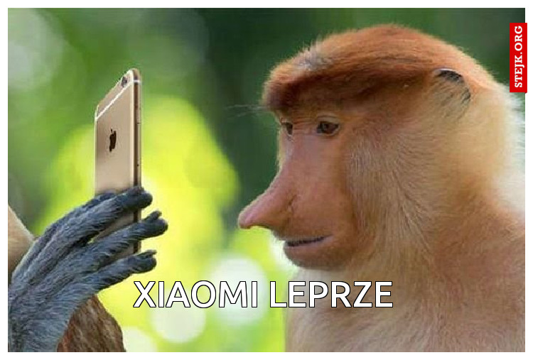 Xiaomi Leprze 