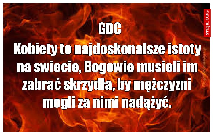Kobiety to najdoskonalsze istoty na swiecie, Bogowie musieli im zabrać skrzydła, by mężczyzni mogli za nimi nadążyć.