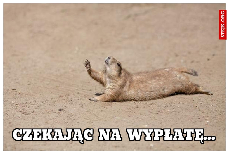 CZEKAJĄC NA WYPŁATĘ...