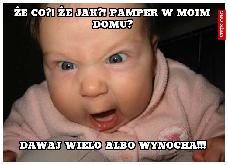 że co?! że jak?! pamper w moim domu?!