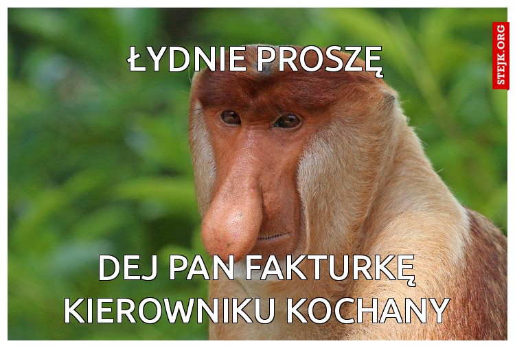 Dej pan fakturkę kierowniku kochany