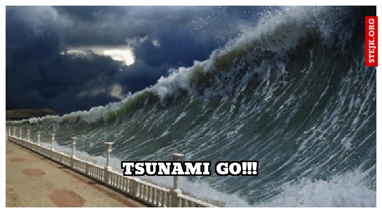 tsunami go!!!