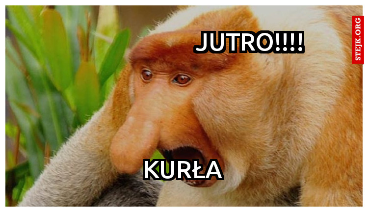                         jutro!!!!