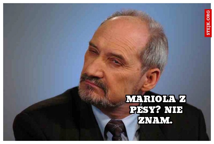 Mariola z Pesy? Nie znam. 