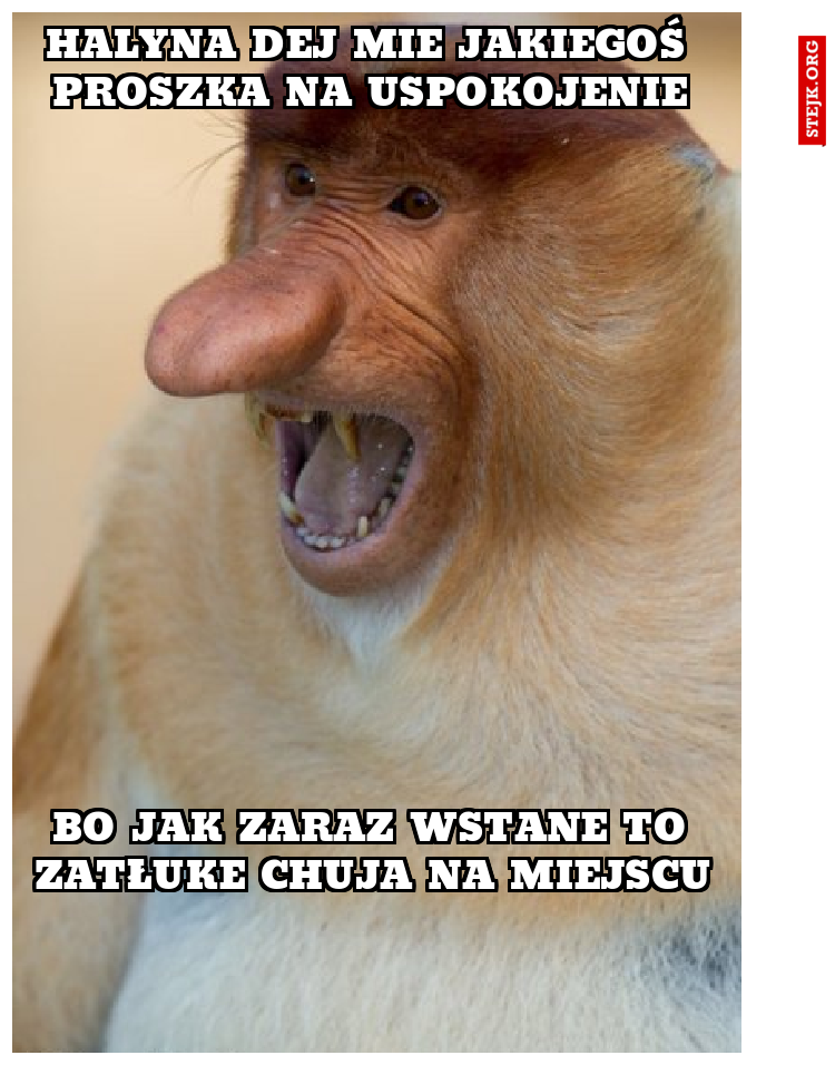 Halyna dej mie jakiegoś proszka na uspokojenie