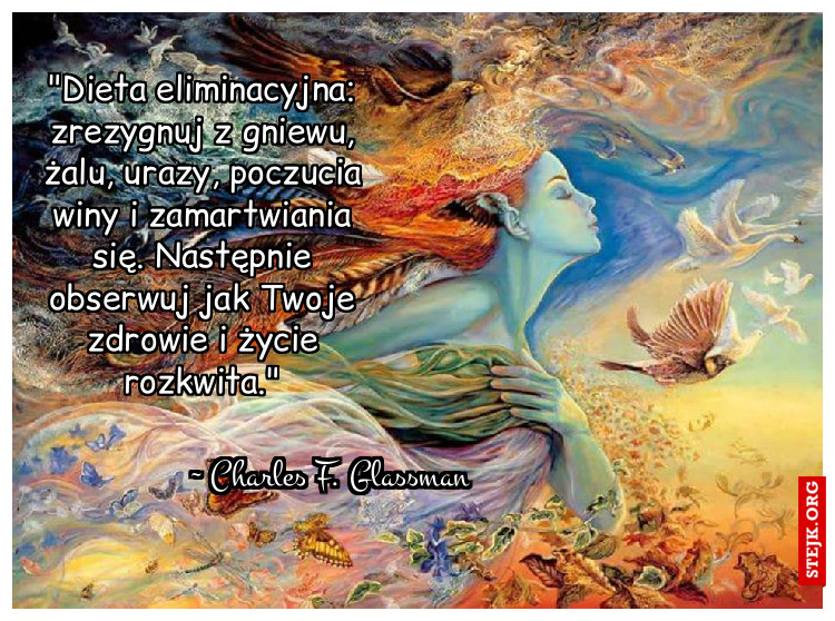 "Dieta eliminacyjna: zrezygnuj z gniewu, żalu, urazy, poczucia winy i zamartwiania się. Następnie obserwuj jak Twoje zdrowie i życie rozkwita."