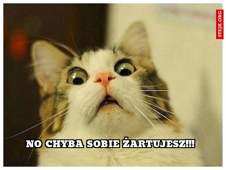 no chyba sobie żartujesz!!! 