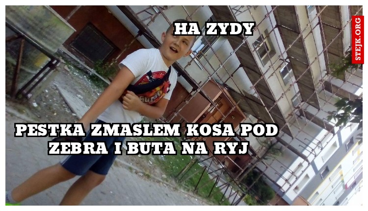 HA ZYDY 