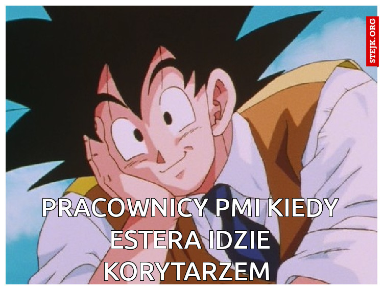 Pracownicy PMI kiedy Estera idzie korytarzem 
