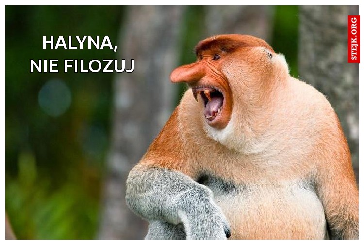 HALYNA,  NIE FILOZUJ