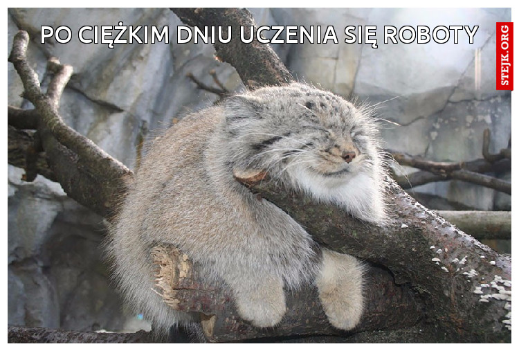 po ciężkim dniu uczenia się roboty