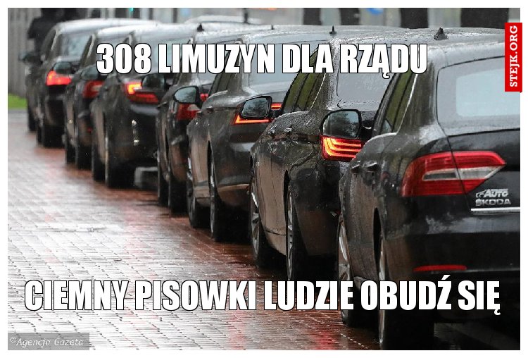 308 limuzyn dla rządu