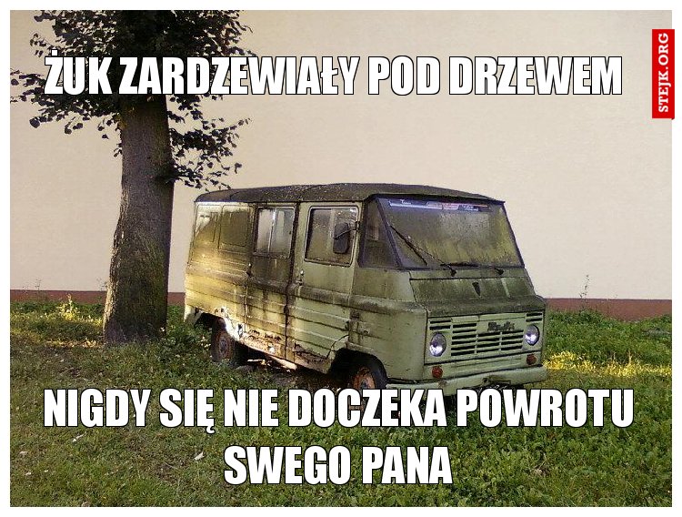 żuk zardzewiały pod drzewem 