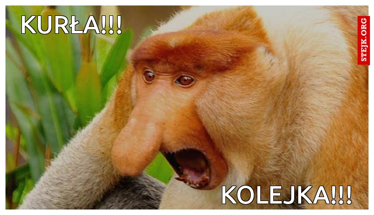 kurła!!!