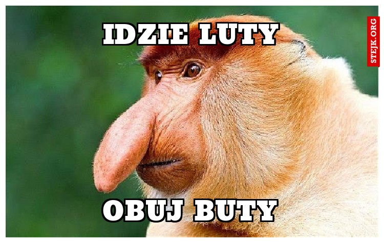 IDZIE LUTY