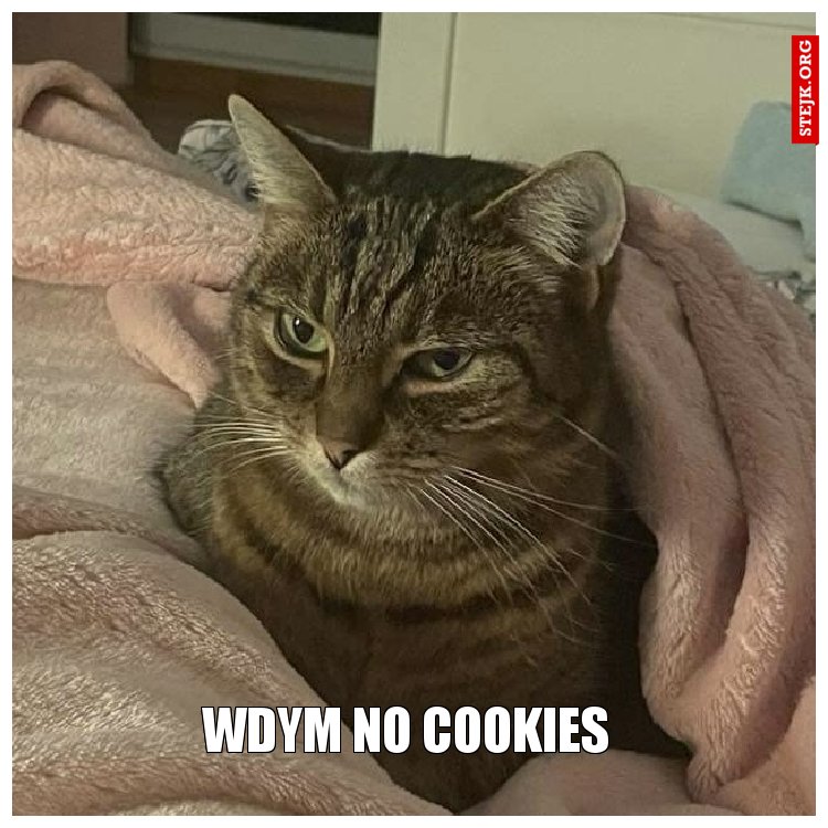 wdym no cookies 