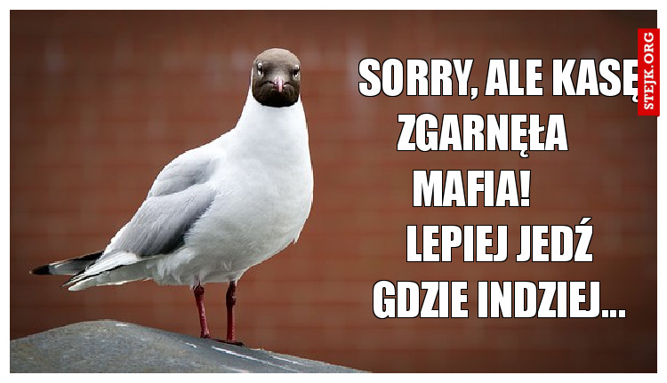 sorry, ALe kasę zgarnęła     MAfia!        Lepiej jedź gdzie indziej...