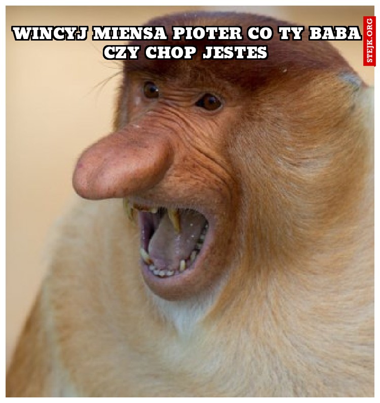 wincyj miensa pioter co ty baba czy chop jestes 