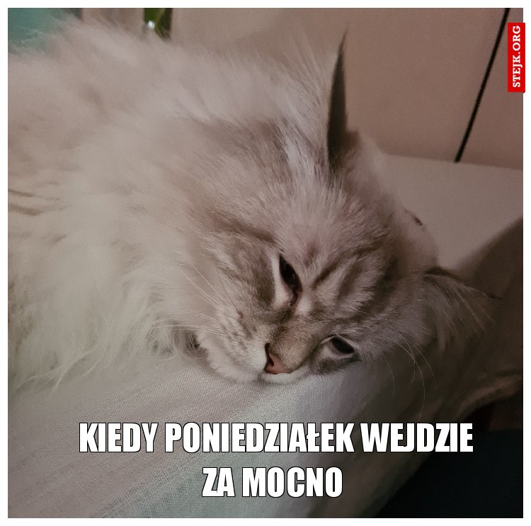 Kiedy poniedziałek wejdzie za mocno 
