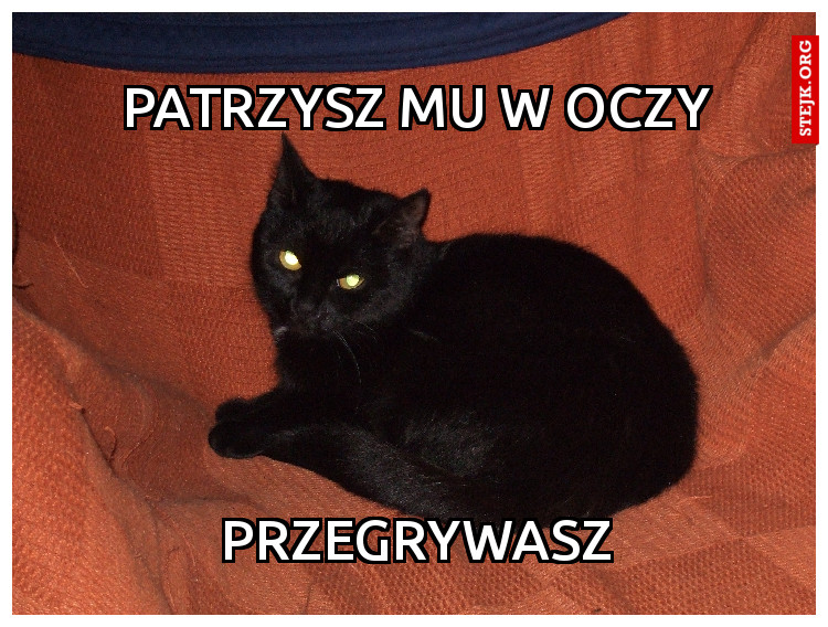 patrzysz mu w oczy