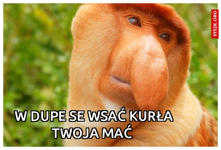 W dupe se wsać kurła twoja mać 