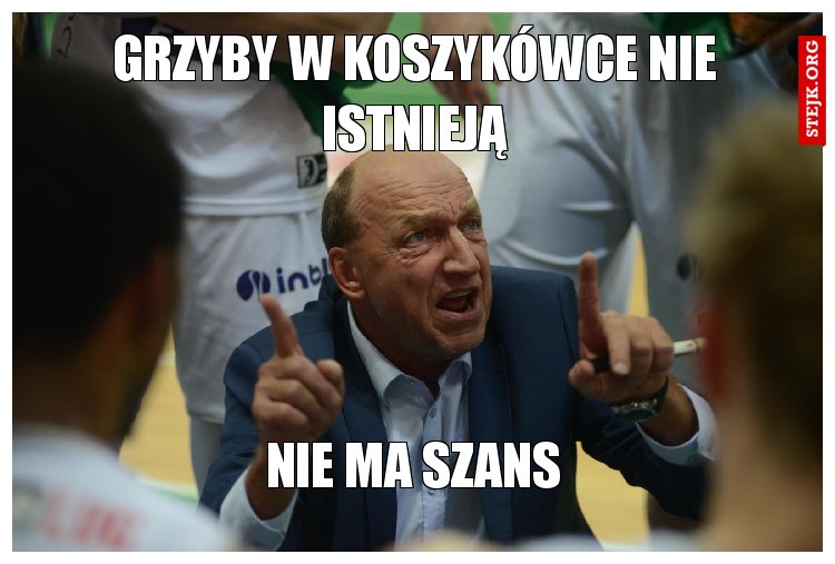 GRzyby w koszykówce nie istnieją