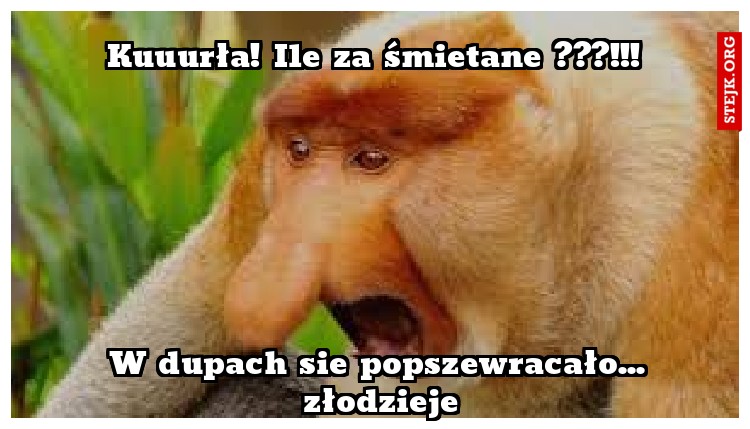 Kuuurła! Ile za śmietane ???!!!