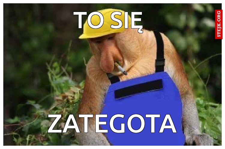 to się zategota