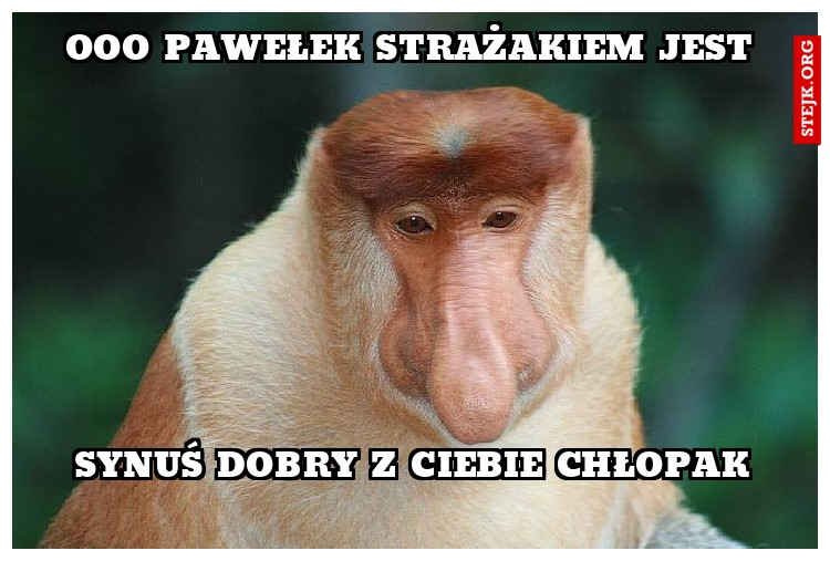 Ooo Pawełek  strażakiem jest