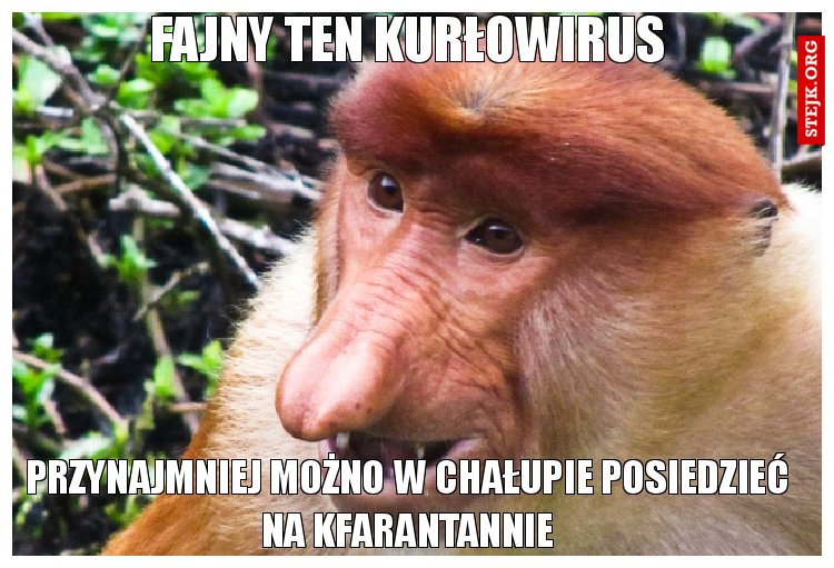 Fajny ten urlop 