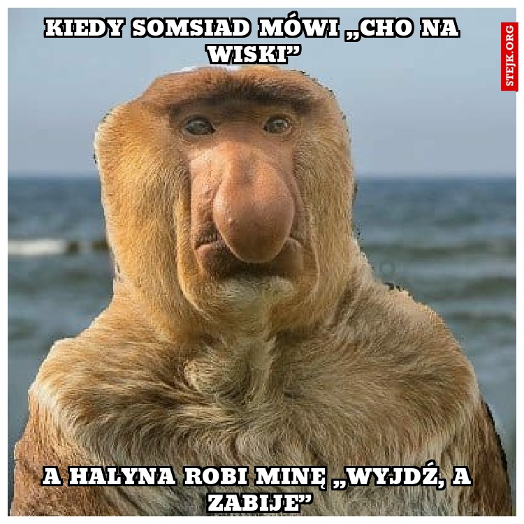 Kiedy somsiad mówi „Cho na wiski”