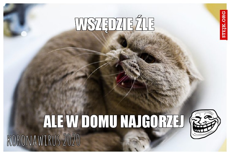 koronawirus 2020