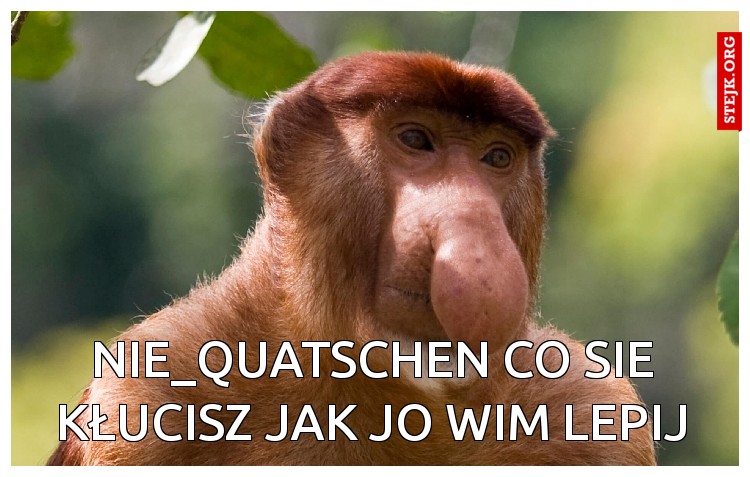 Nie_quatschen co sie kłucisz jak jo wim lepij