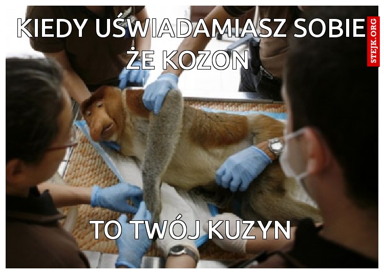 kiedy uświadamiasz sobie że kozon 