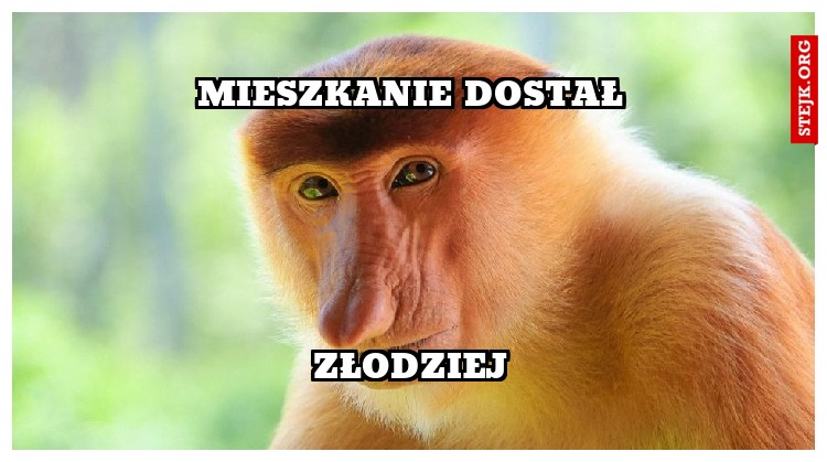 Mieszkanie dostał